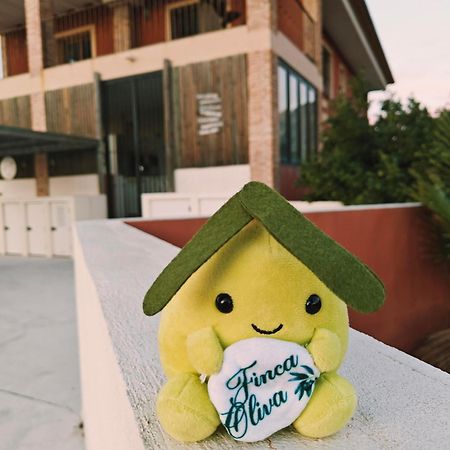 Finca Oliva Bolulla Dış mekan fotoğraf