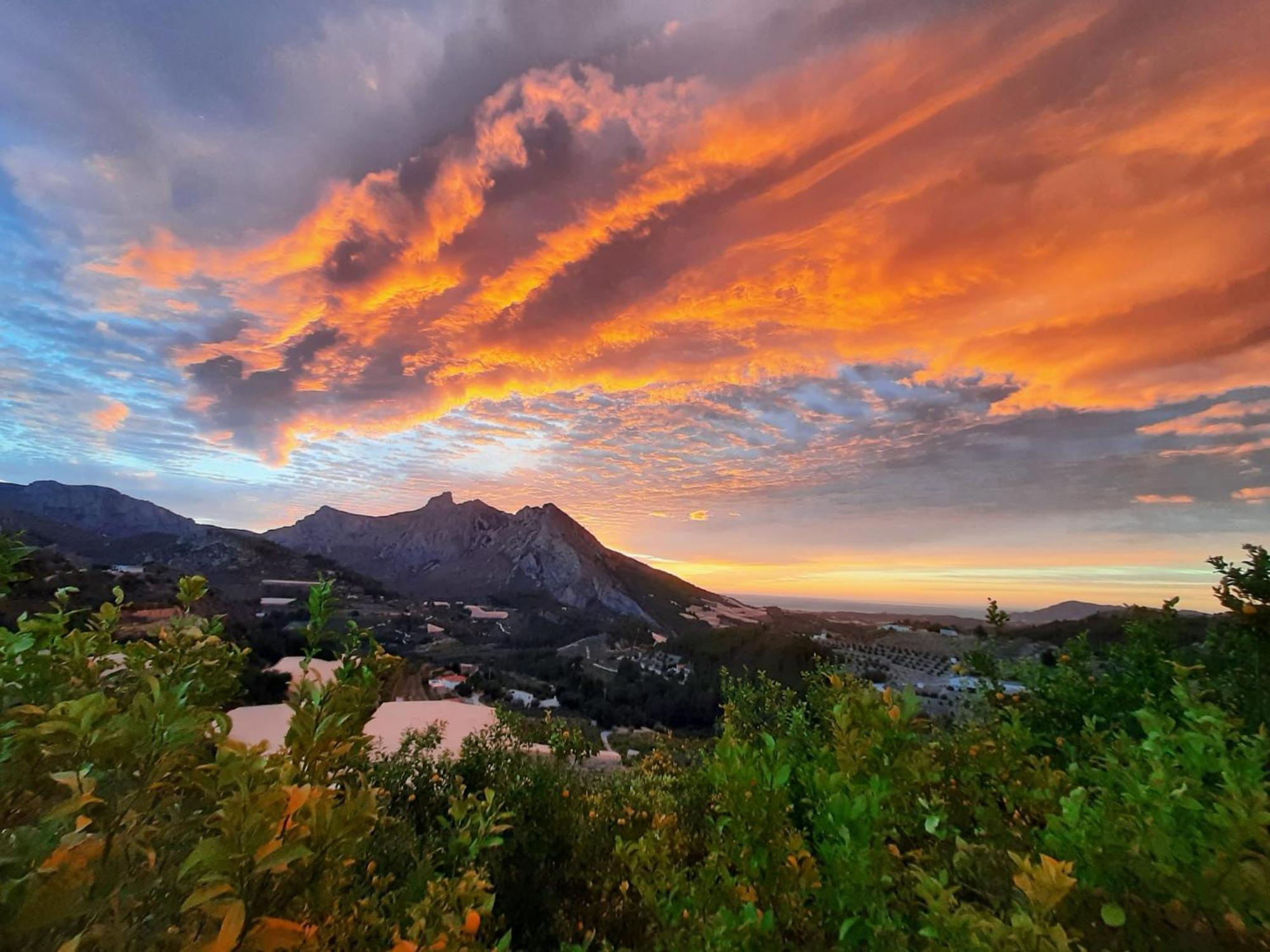 Finca Oliva Bolulla Dış mekan fotoğraf