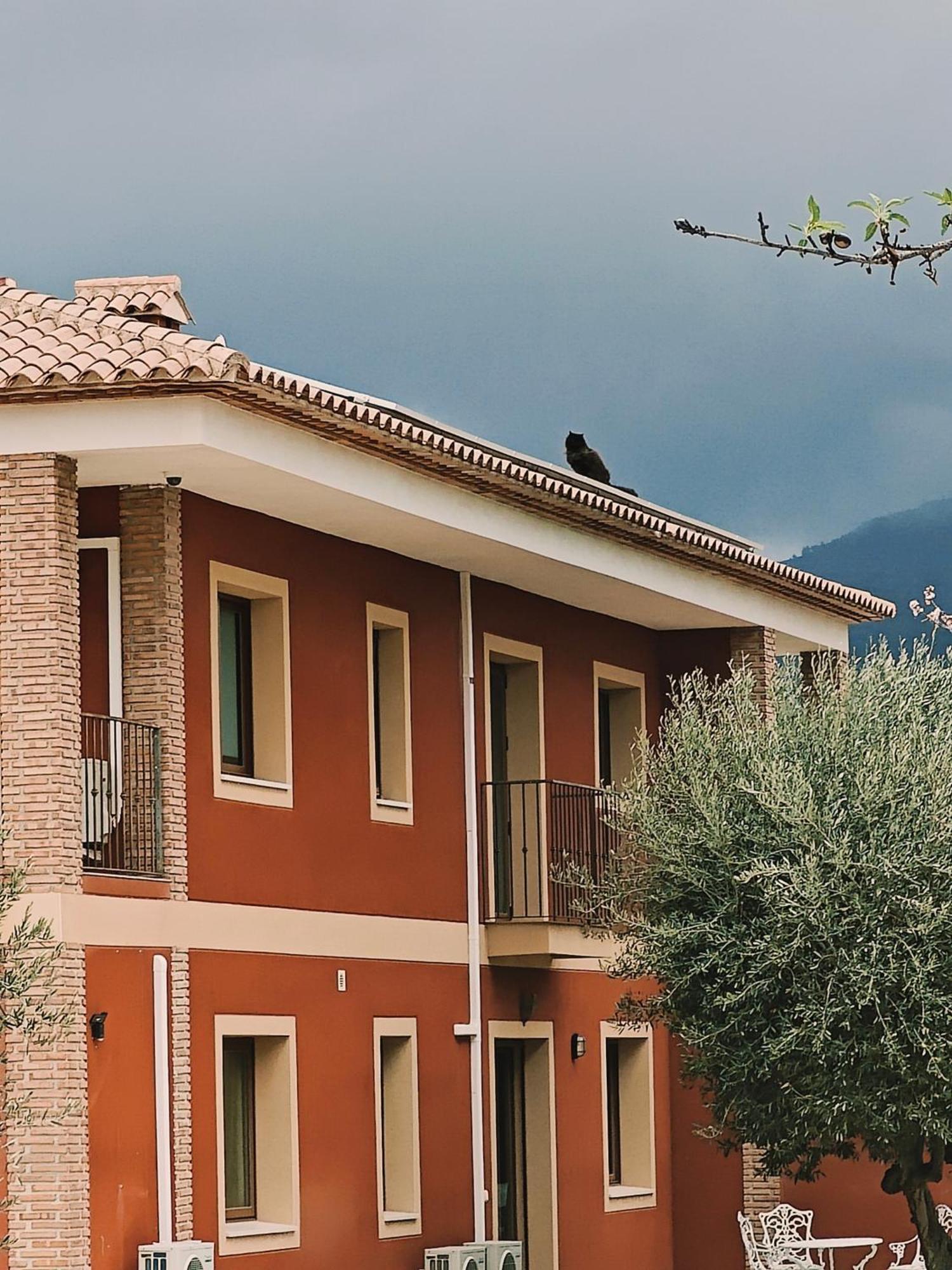 Finca Oliva Bolulla Dış mekan fotoğraf