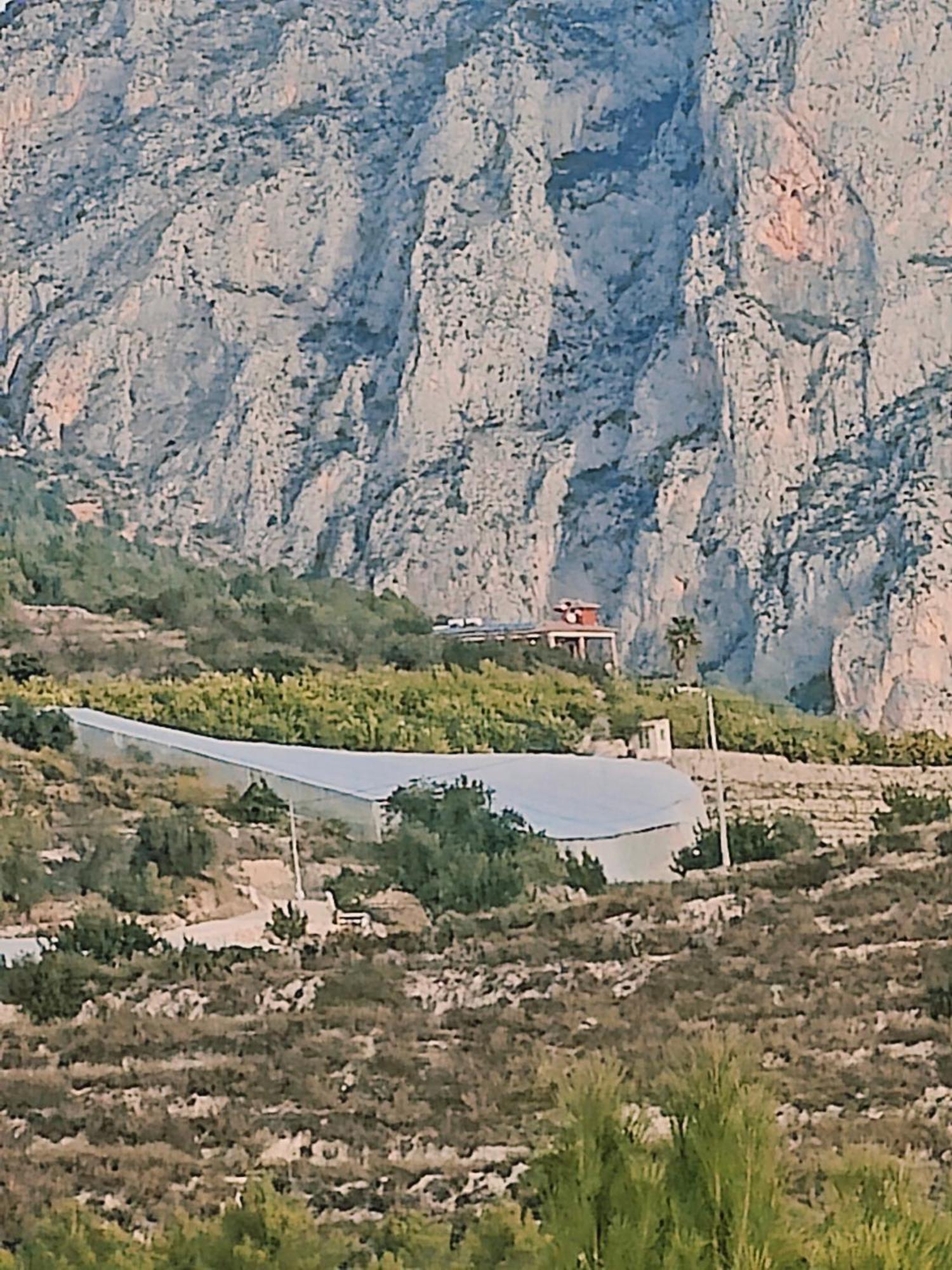 Finca Oliva Bolulla Dış mekan fotoğraf