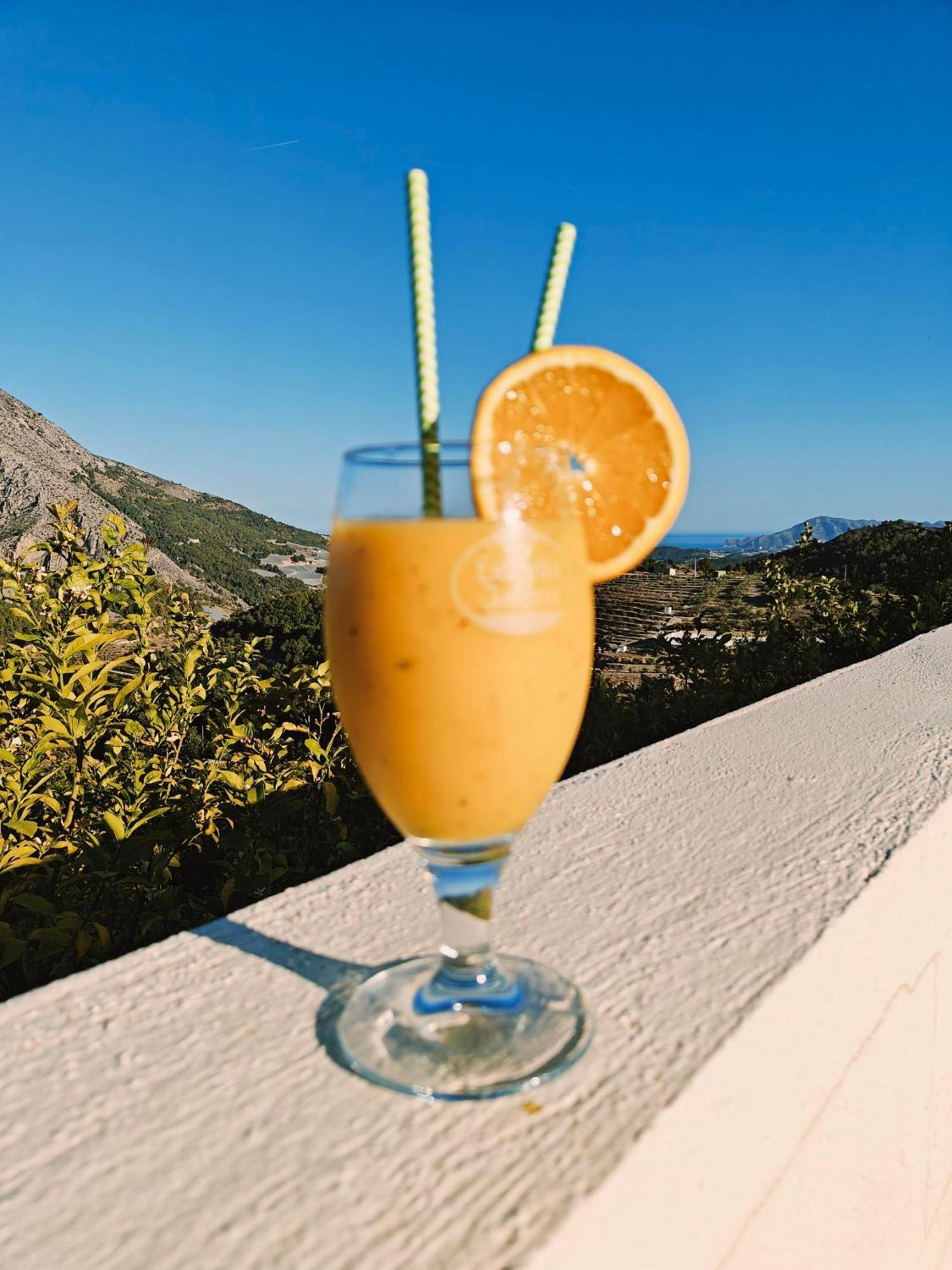 Finca Oliva Bolulla Dış mekan fotoğraf