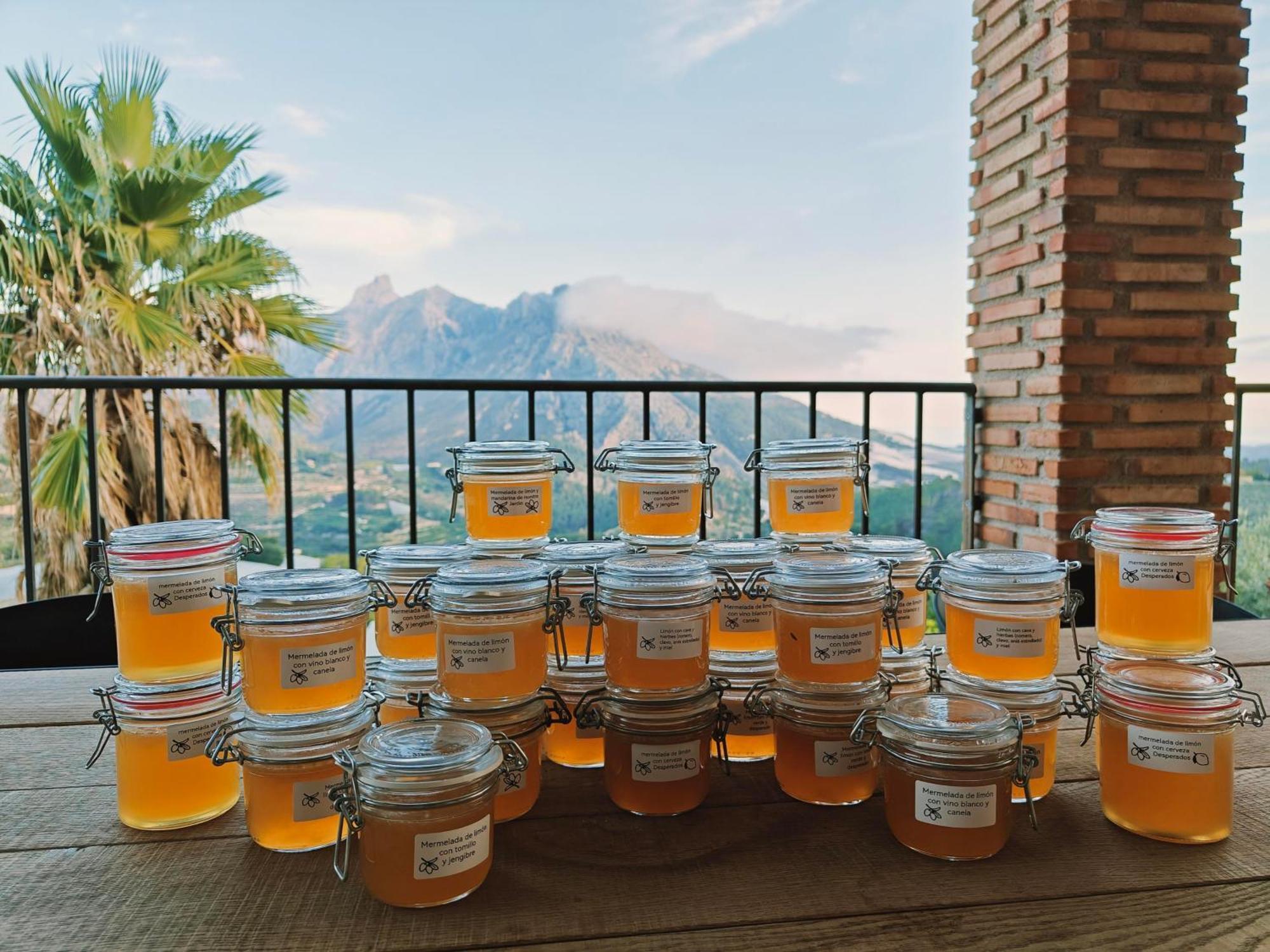 Finca Oliva Bolulla Dış mekan fotoğraf