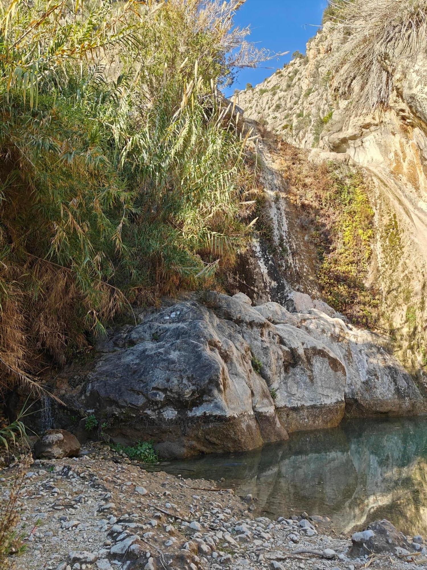 Finca Oliva Bolulla Dış mekan fotoğraf