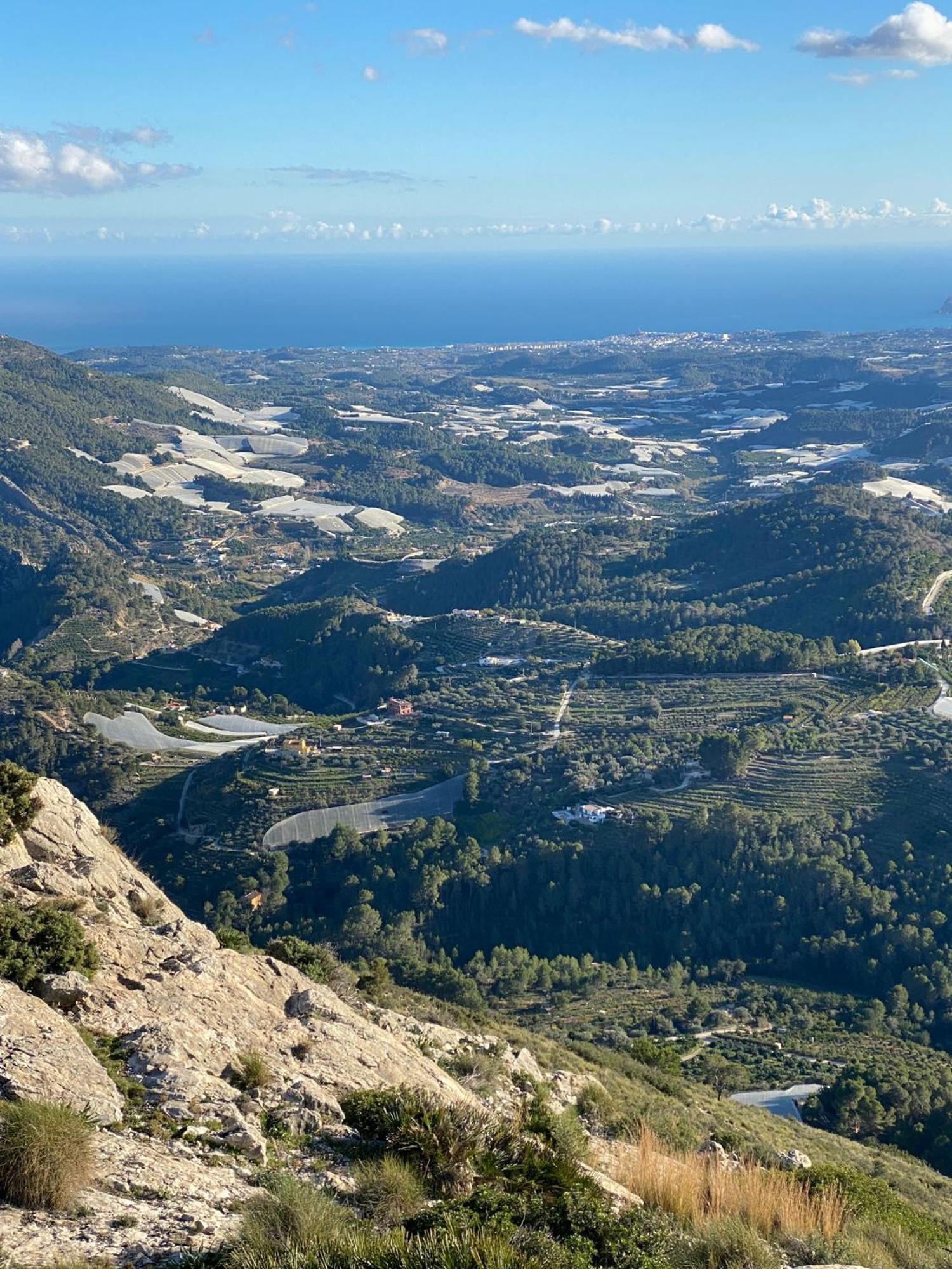 Finca Oliva Bolulla Dış mekan fotoğraf
