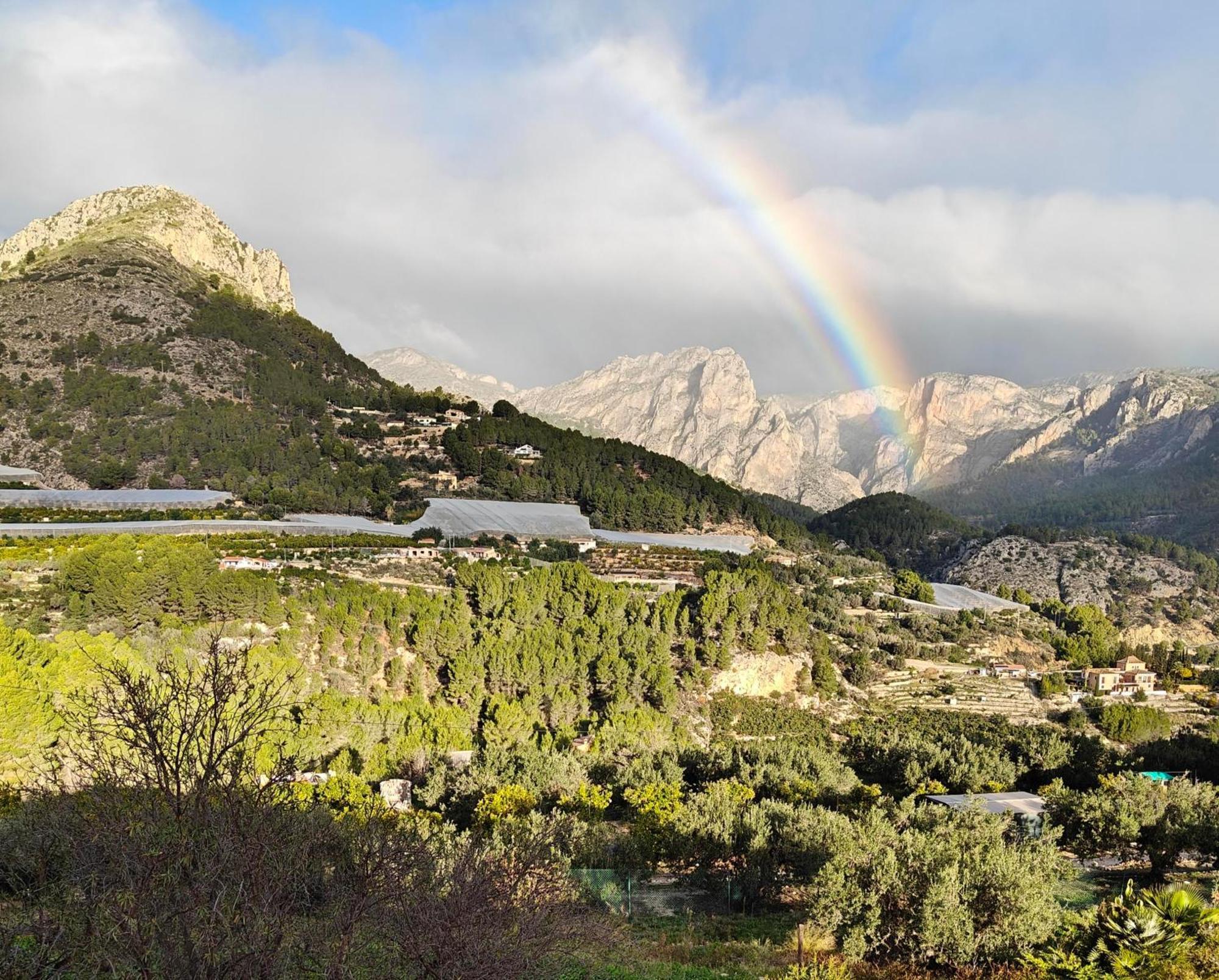 Finca Oliva Bolulla Dış mekan fotoğraf
